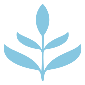 spirhelse-iconet Spir Helse
Bedriftshelsetjeneste
arbeidsmedisin
fastlege
forsikring
kiropraktor
psykolog
forebyggende trening
bassengtrening